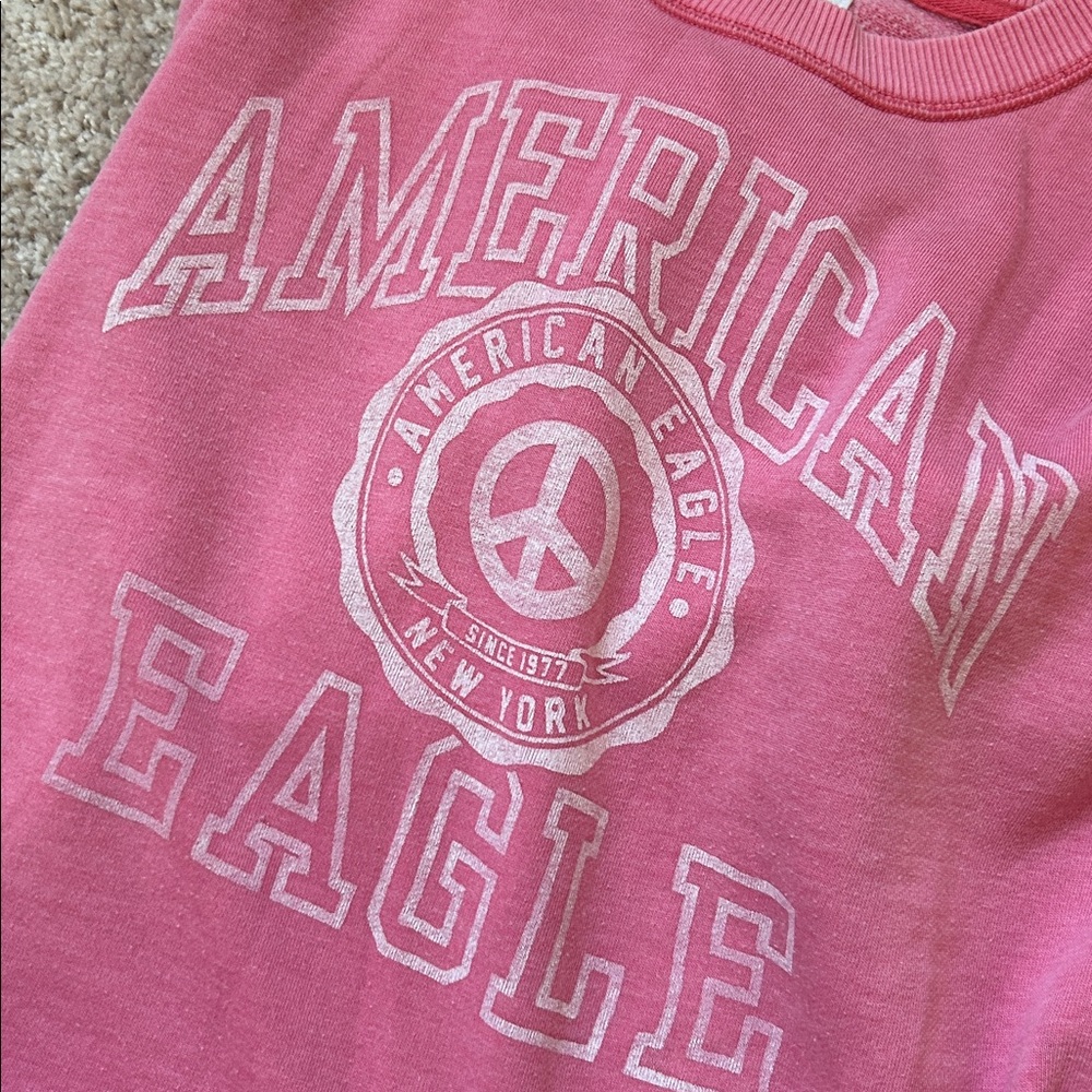 American Eagle Outfitters Sweatshirt. M - Picture 12 of 12